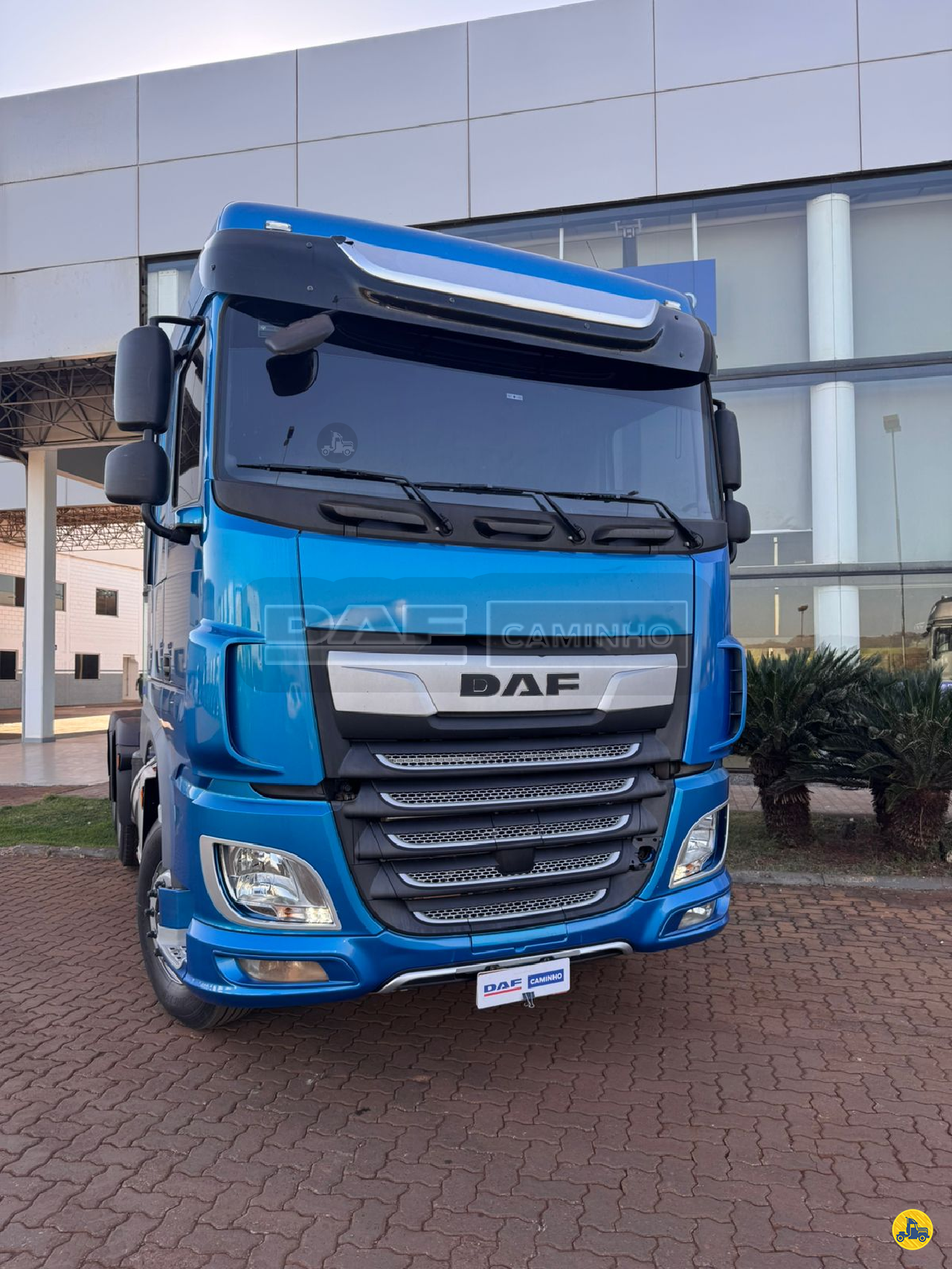 CAMINHAO DAF DAF XF FT 530 Cavalo Mecânico Truck 6x4 DAF Caminho Caminhões - Ribeirão Preto RIBEIRAO PRETO SÃO PAULO SP